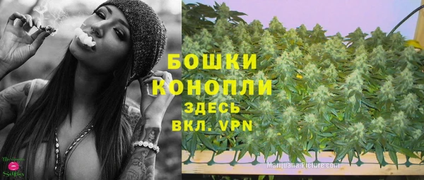 ECSTASY Богданович