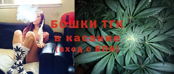 ECSTASY Богданович
