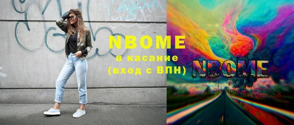 ECSTASY Богданович