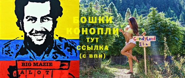 ECSTASY Богданович