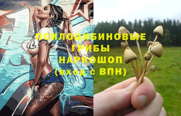 ECSTASY Богданович